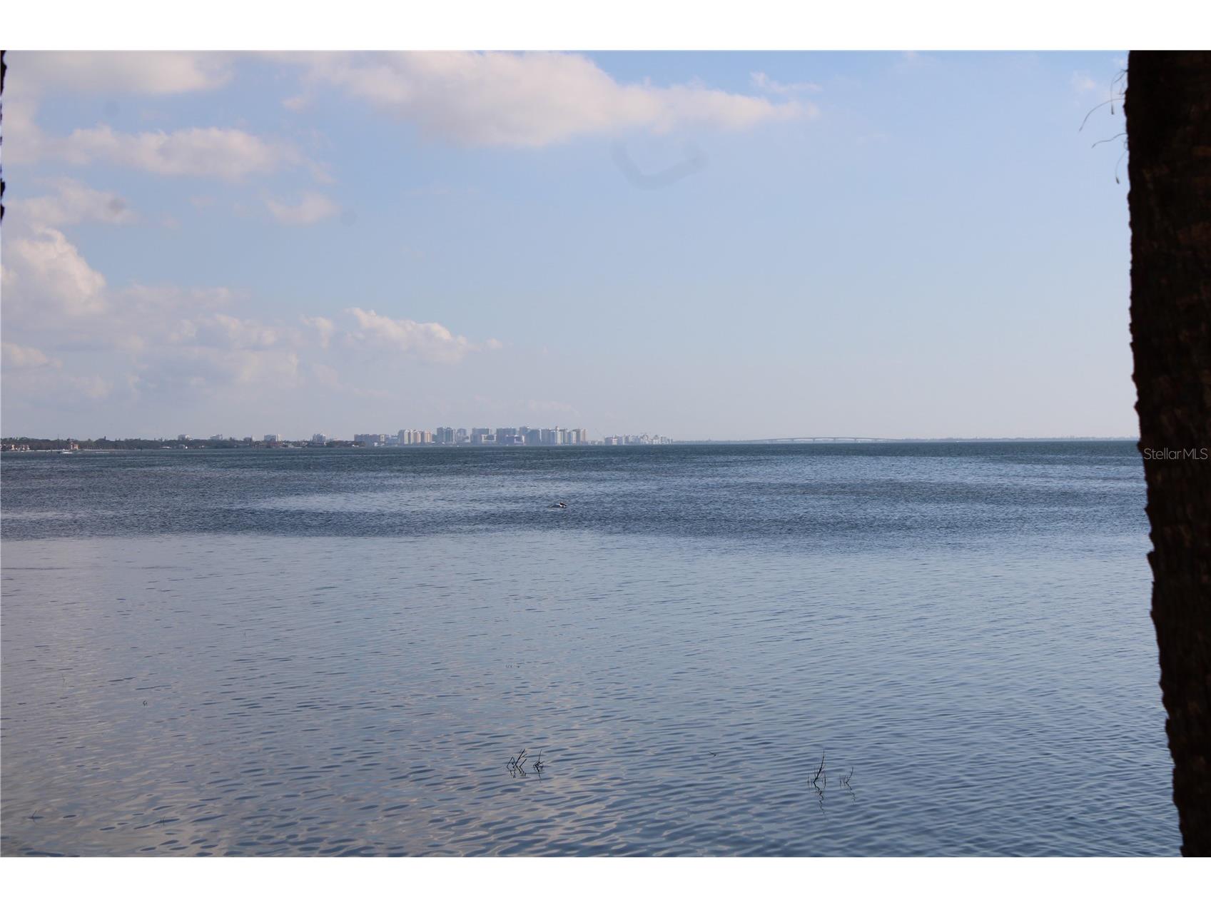 6470 Mourning Dove Drive #203 Bradenton FL 34210 - SARASOTA BAY A4684528 image47