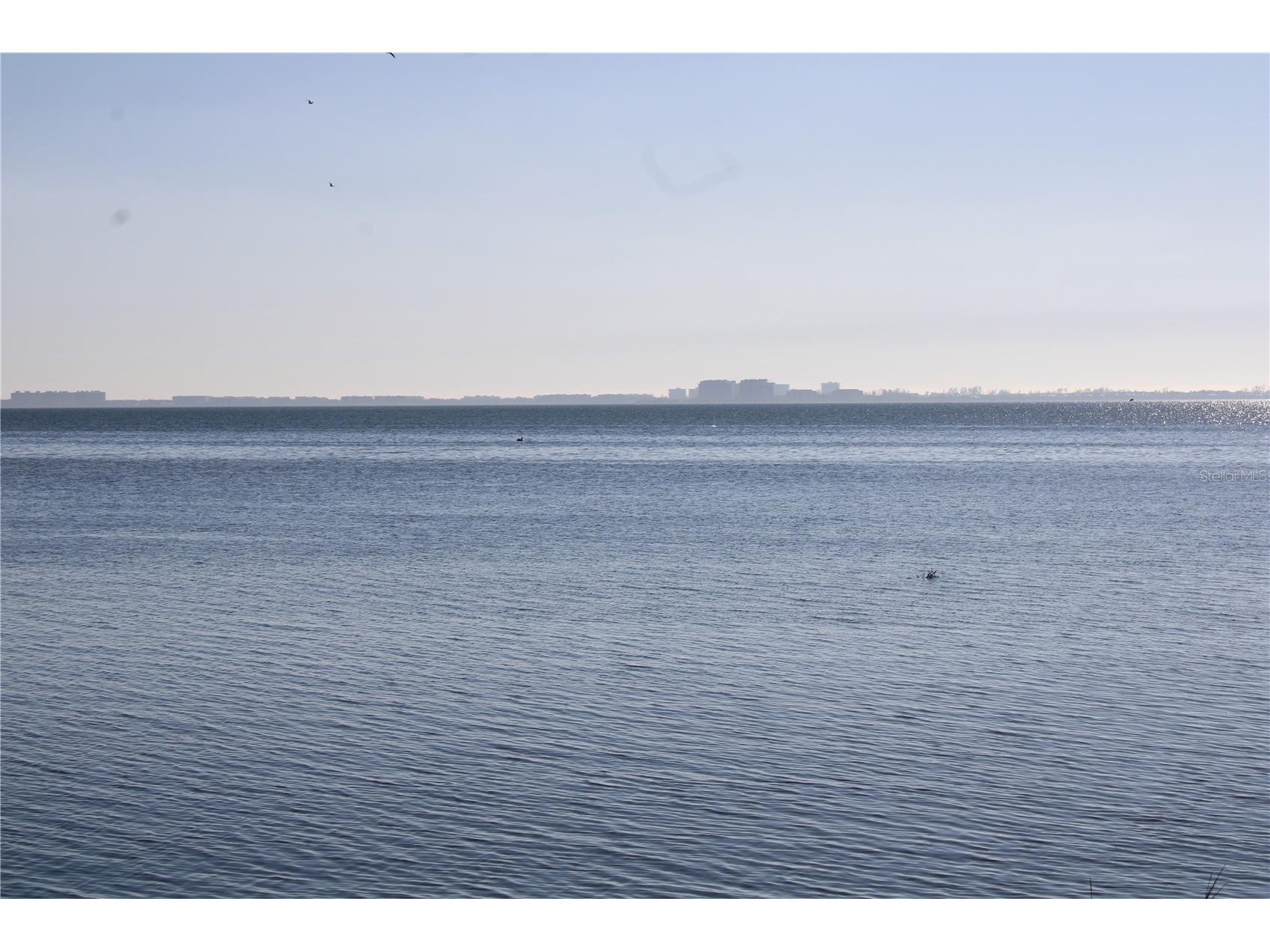 6470 Mourning Dove Drive #203 Bradenton FL 34210 - SARASOTA BAY A4684528 image48