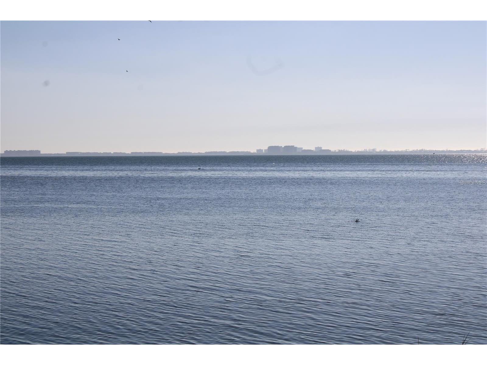 6470 Mourning Dove Drive #203 Bradenton FL 34210 - SARASOTA BAY A4684528 image49