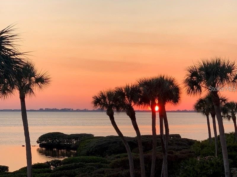 6470 Mourning Dove Drive #203 Bradenton FL 34210 - SARASOTA BAY A4684528 image52