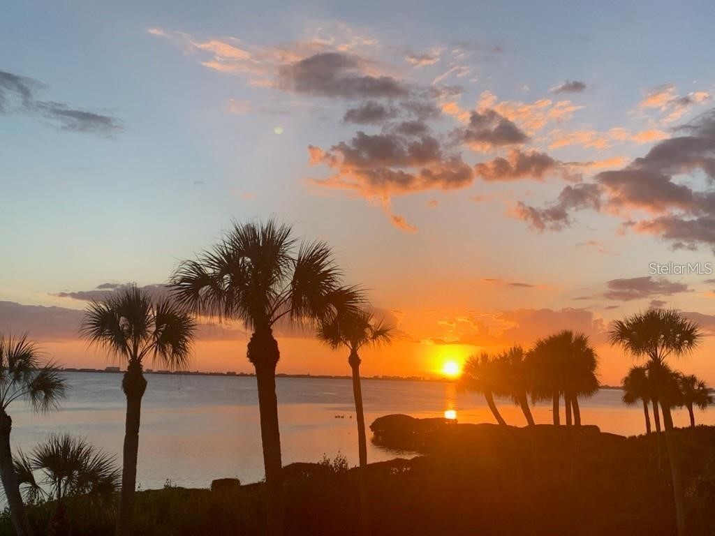 6470 Mourning Dove Drive #203 Bradenton FL 34210 - SARASOTA BAY A4684528 image53