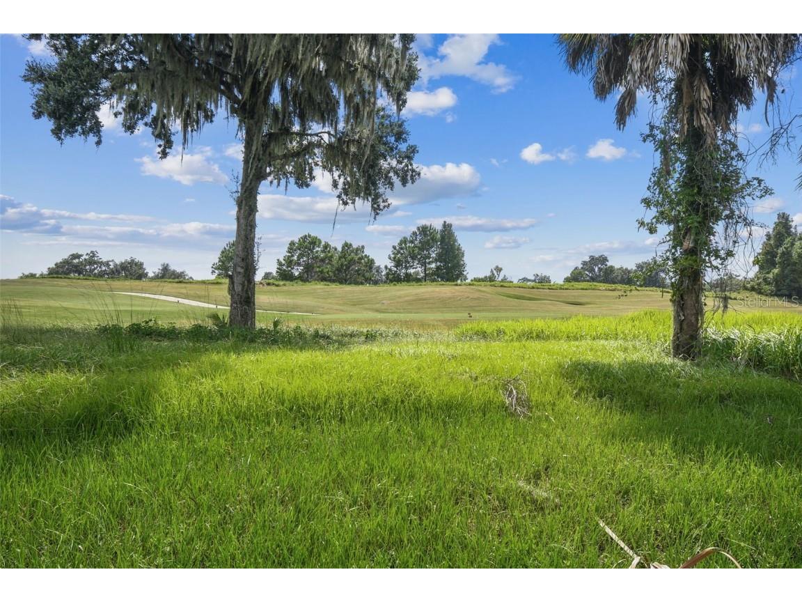 6470 Summit View Drive Brooksville FL 34601 W7881090 image91