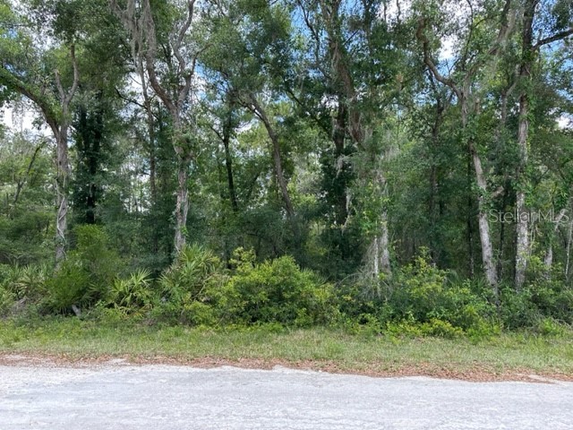 6471 Otter Drive Webster FL 33597 - Long Lake G5068990 image1