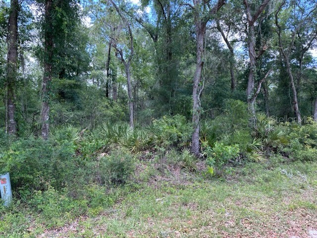 6471 Otter Drive Webster FL 33597 - Long Lake G5068990 image2