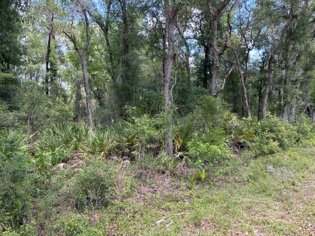 6471 Otter Drive Webster FL 33597 - Long Lake G5068990 image3