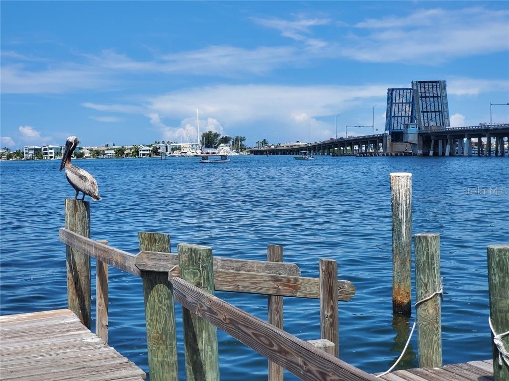 6471 Seagull Drive #257 Bradenton FL 34210 A4670214 image49