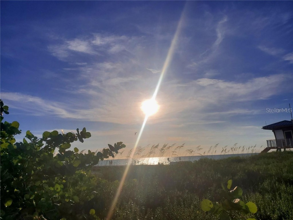 6471 Seagull Drive #257 Bradenton FL 34210 A4670214 image50