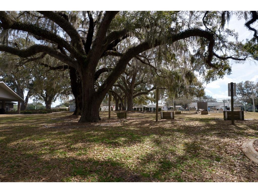6472 SW 106th Place Ocala FL 34476 OM719154 image42