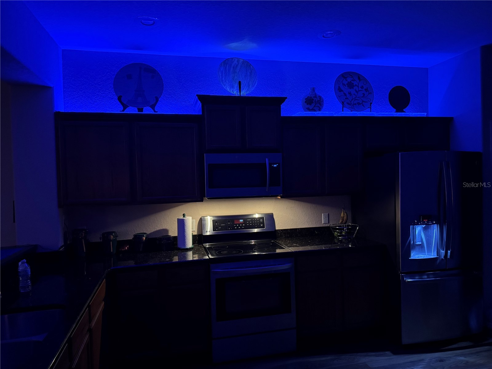 6473 Royal Preserve Drive Lakeland FL 33813 L4956801 image13