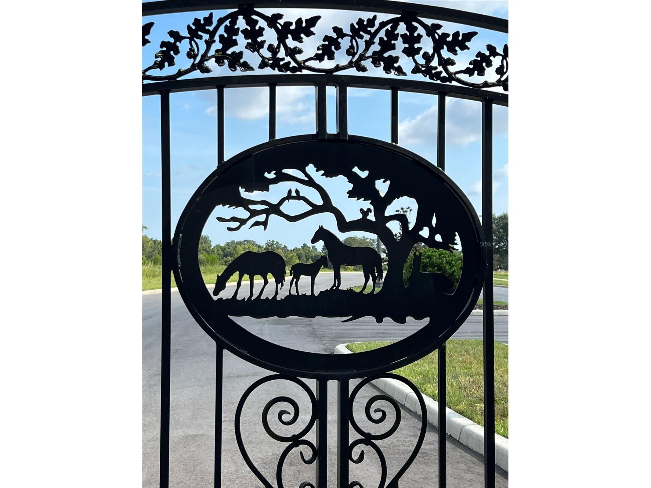 6474 SW 89th Loop Ocala FL 34476 OM716785 image33