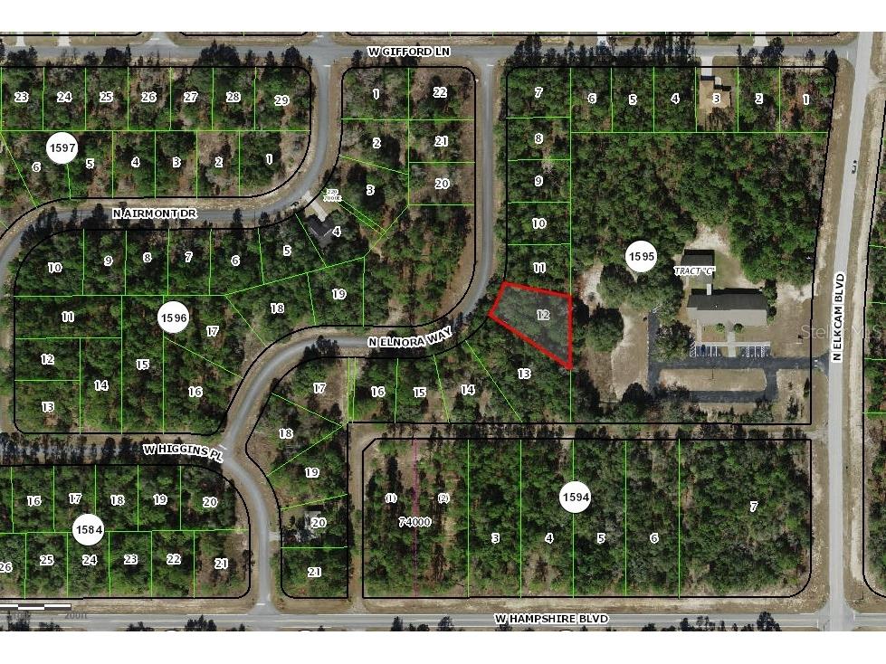 6477 N Elnora Way Dunnellon FL 34433 O6396899 image1