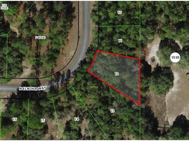 6477 N Elnora Way Dunnellon FL 34433 O6396899 image2