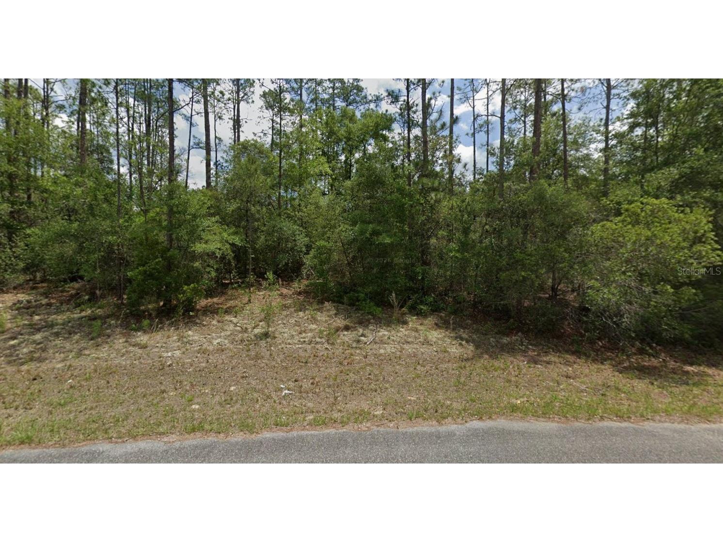 6477 N Elnora Way Dunnellon FL 34433 O6396899 image5