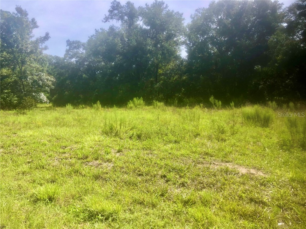 6478 Norman Street Webster FL 33597 W7847650 image1