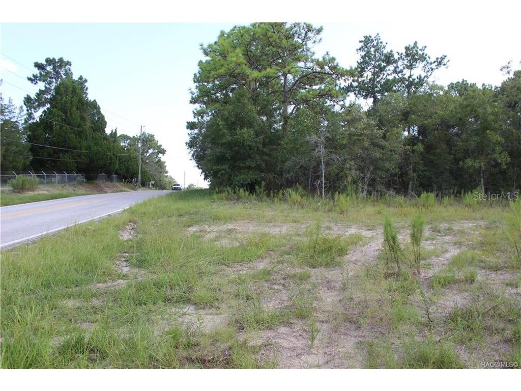6479 Barclay Avenue Spring Hill FL 34609 U8173410 image1