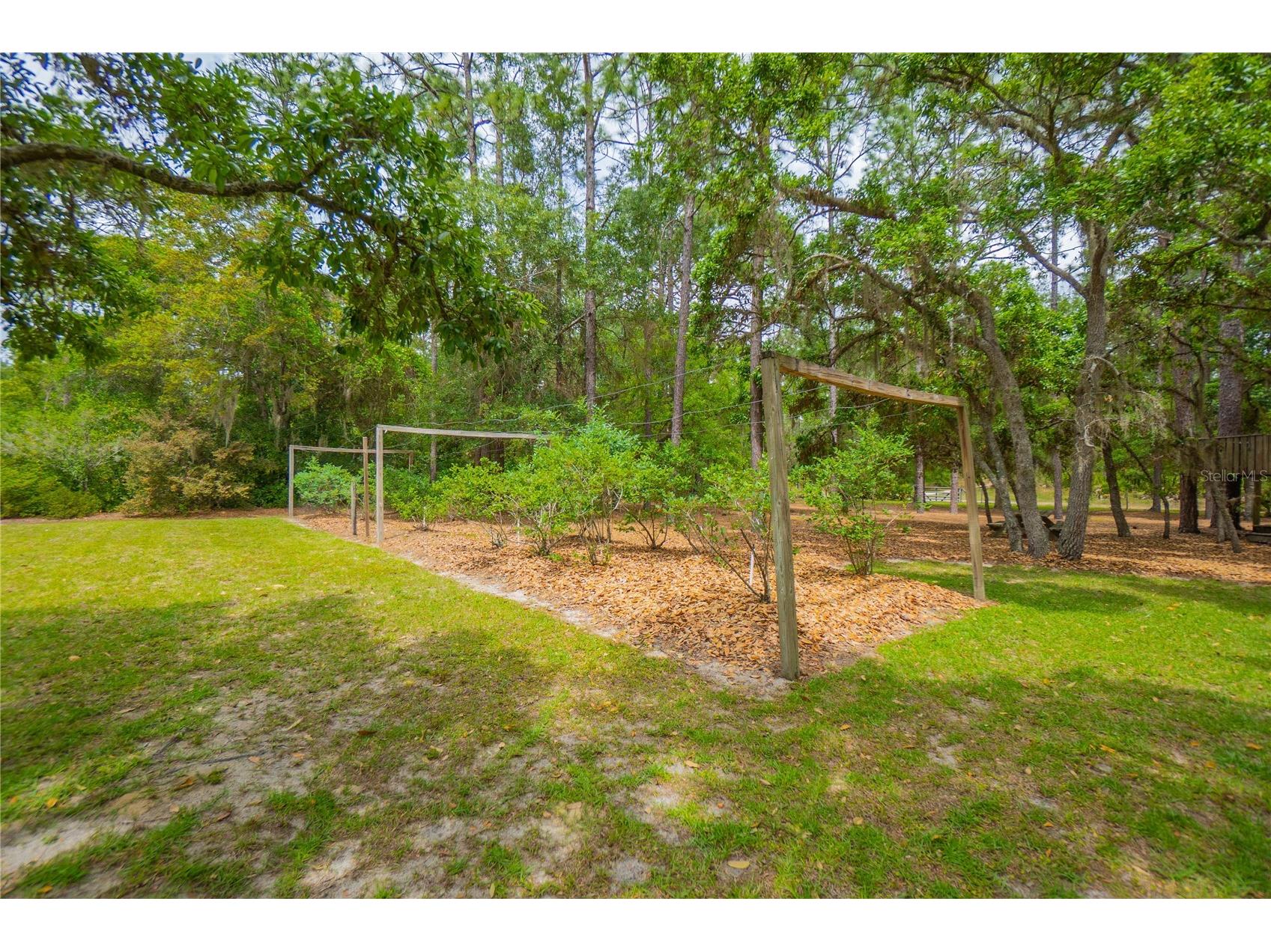 6479 W Candier Court Dunnellon FL 34433 OM723688 image29