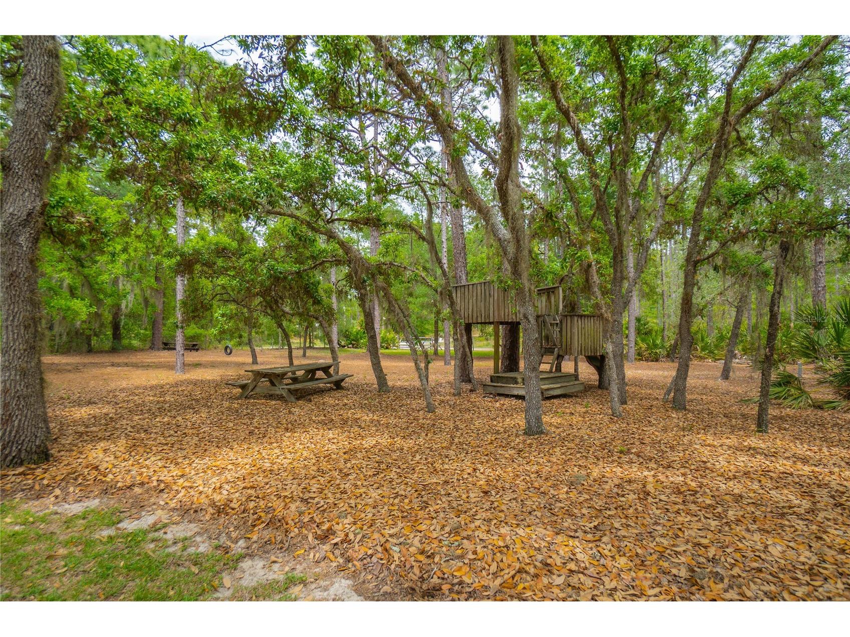 6479 W Candier Court Dunnellon FL 34433 OM723688 image31