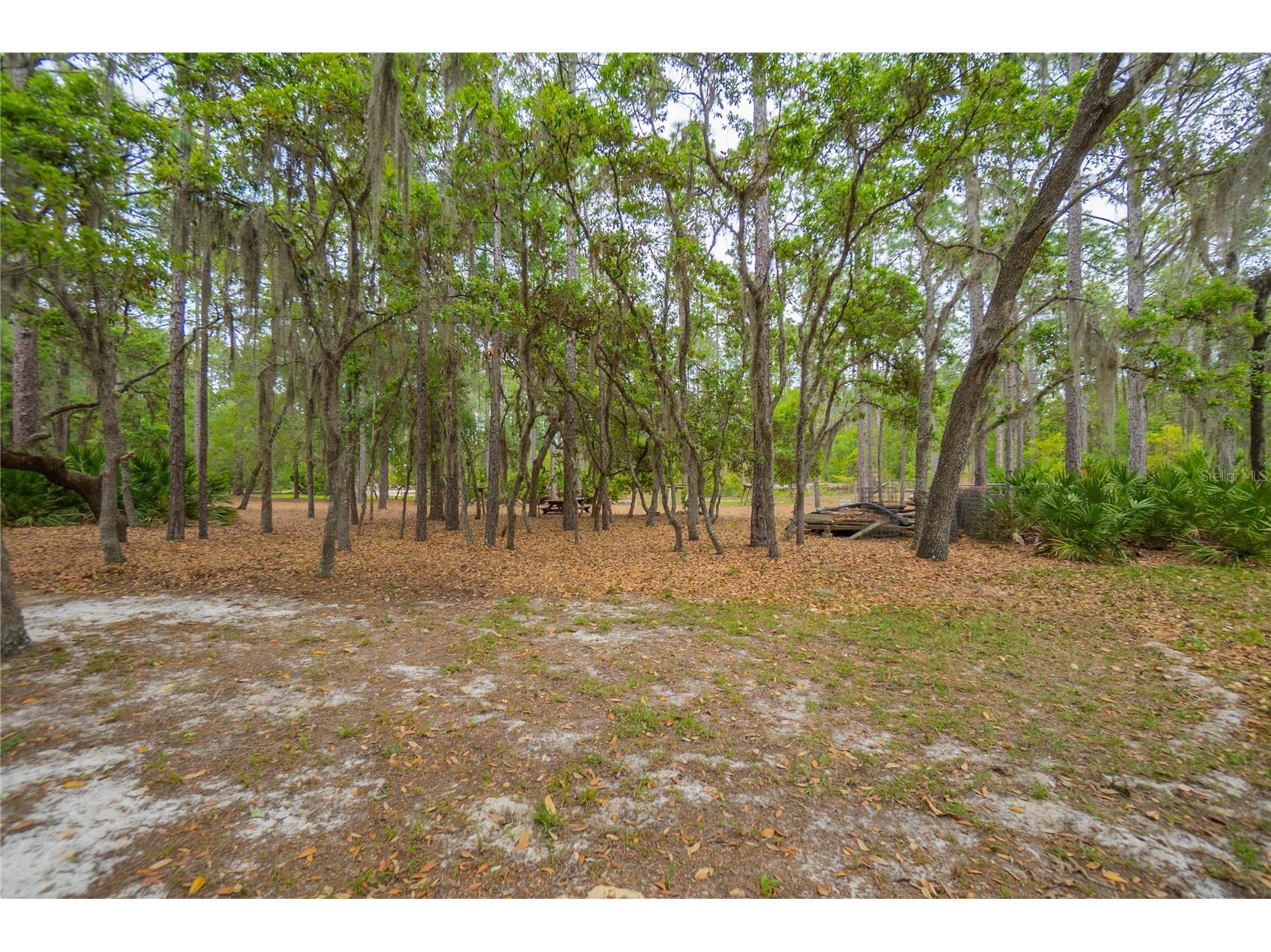 6479 W Candier Court Dunnellon FL 34433 OM723688 image43