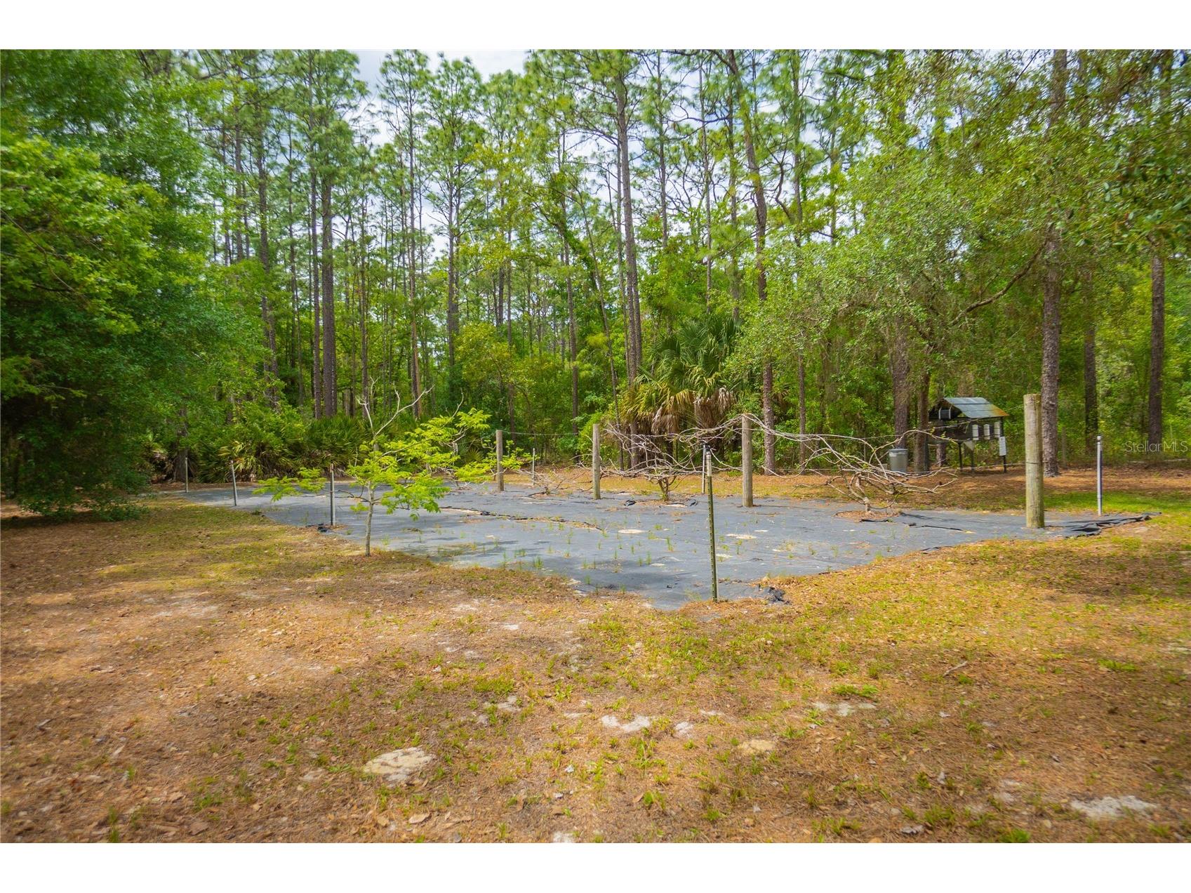 6479 W Candier Court Dunnellon FL 34433 OM723688 image56