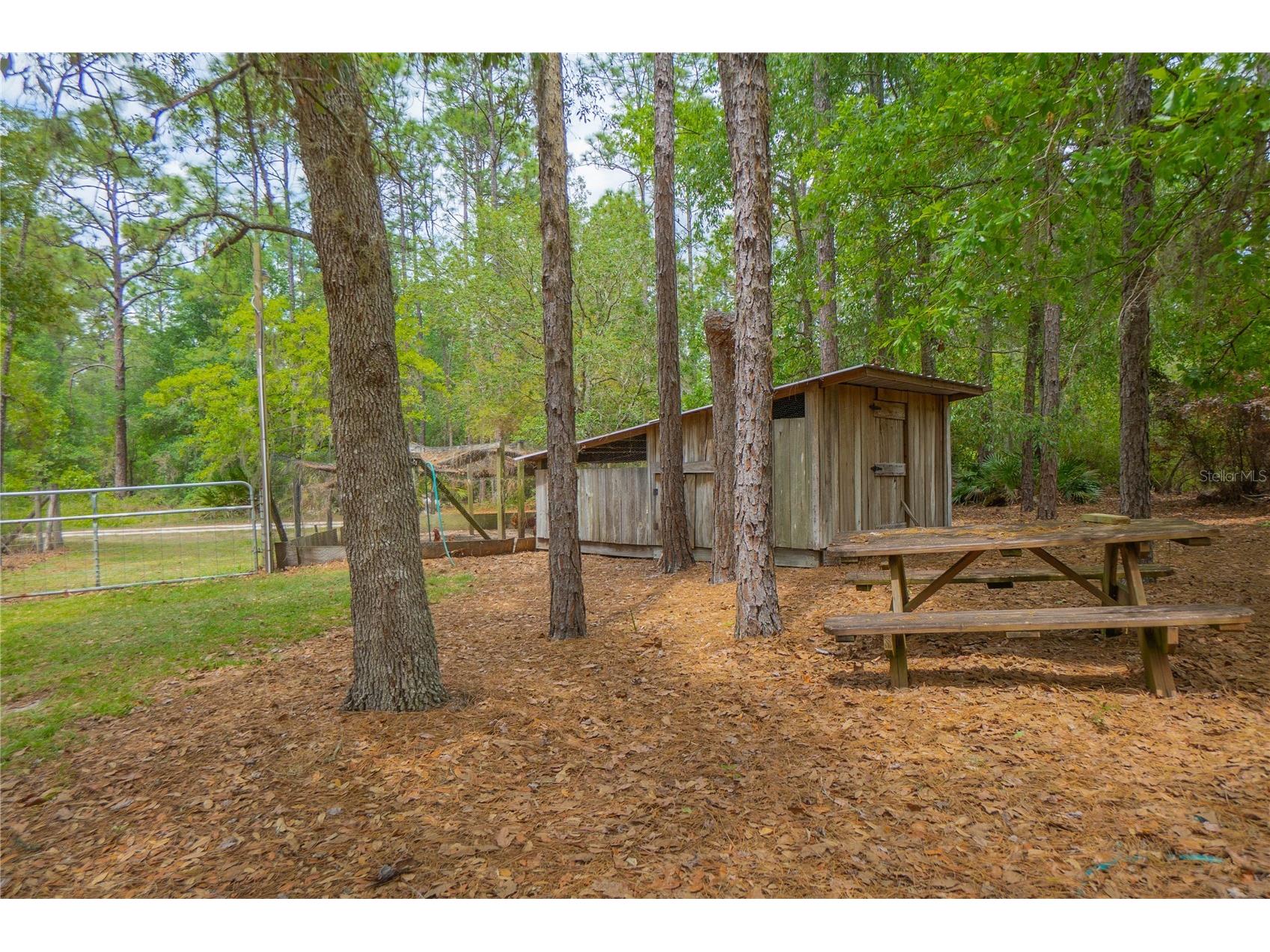 6479 W Candier Court Dunnellon FL 34433 OM723688 image57