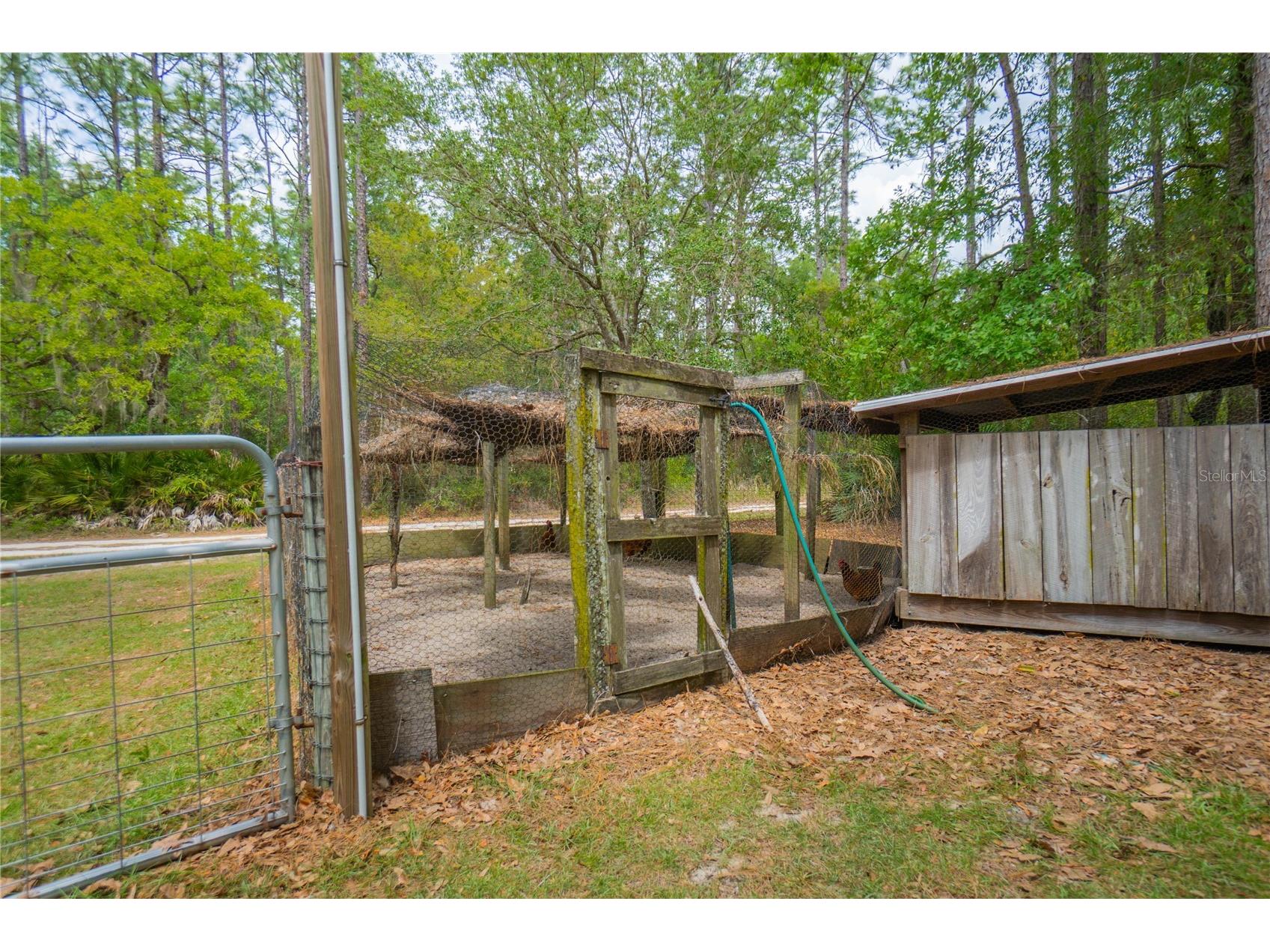 6479 W Candier Court Dunnellon FL 34433 OM723688 image58