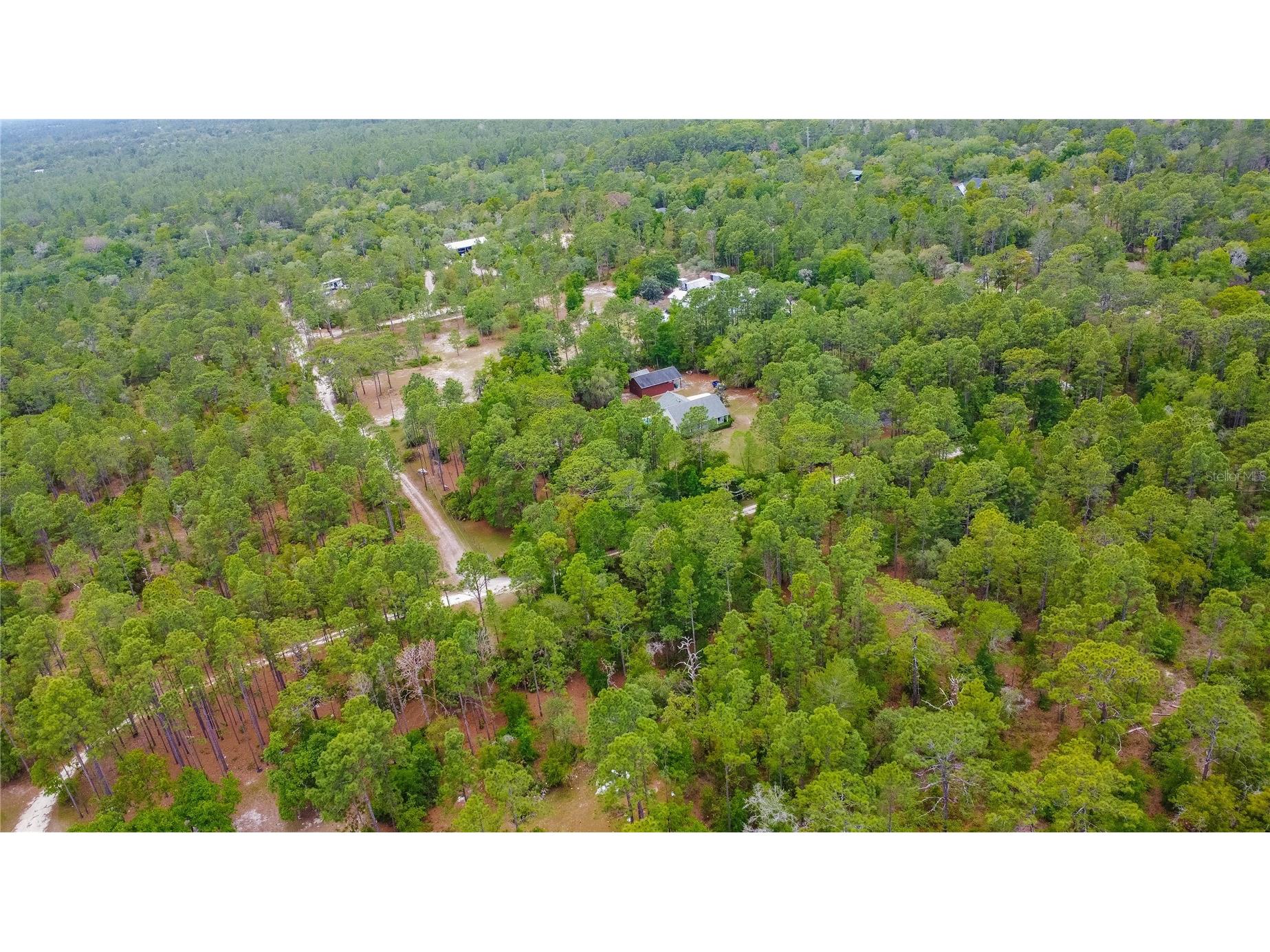 6479 W Candier Court Dunnellon FL 34433 OM723688 image67
