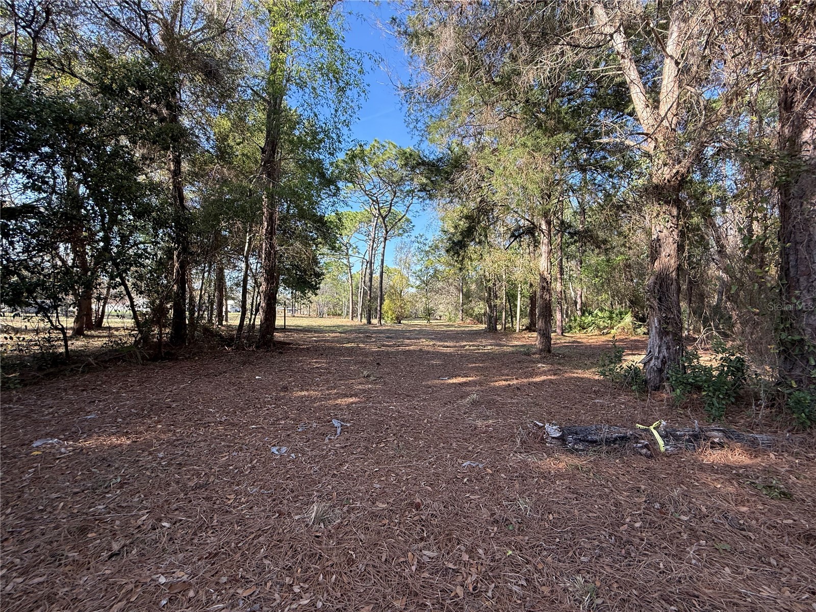 6479 W Holiday Street Homosassa FL 34446 TB8500021 image10