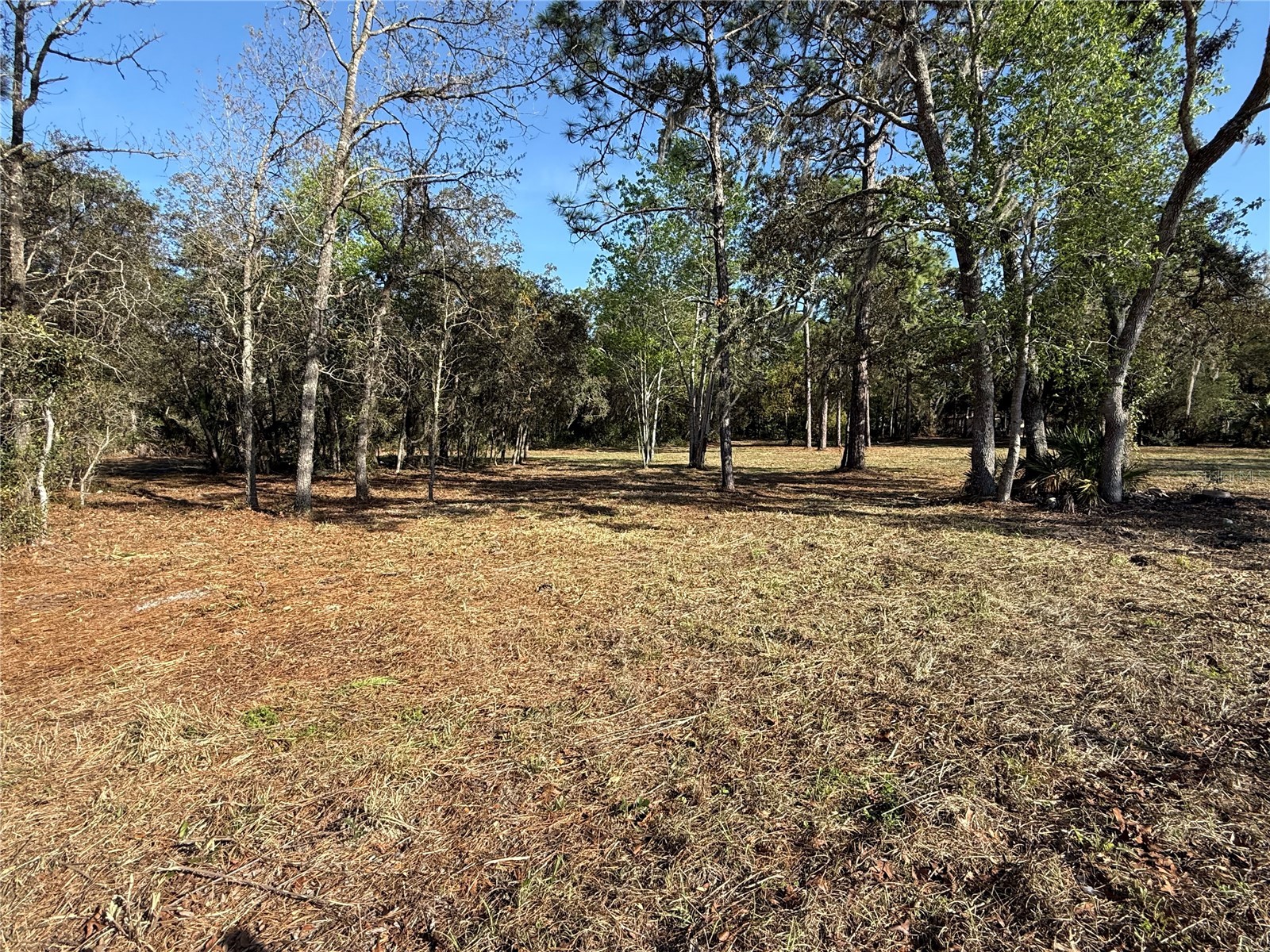 6479 W Holiday Street Homosassa FL 34446 TB8500021 image11