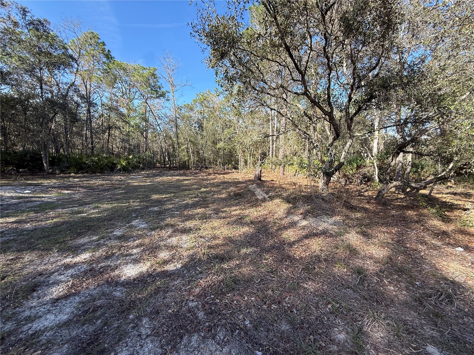 6479 W Holiday Street Homosassa FL 34446 TB8500021 image4