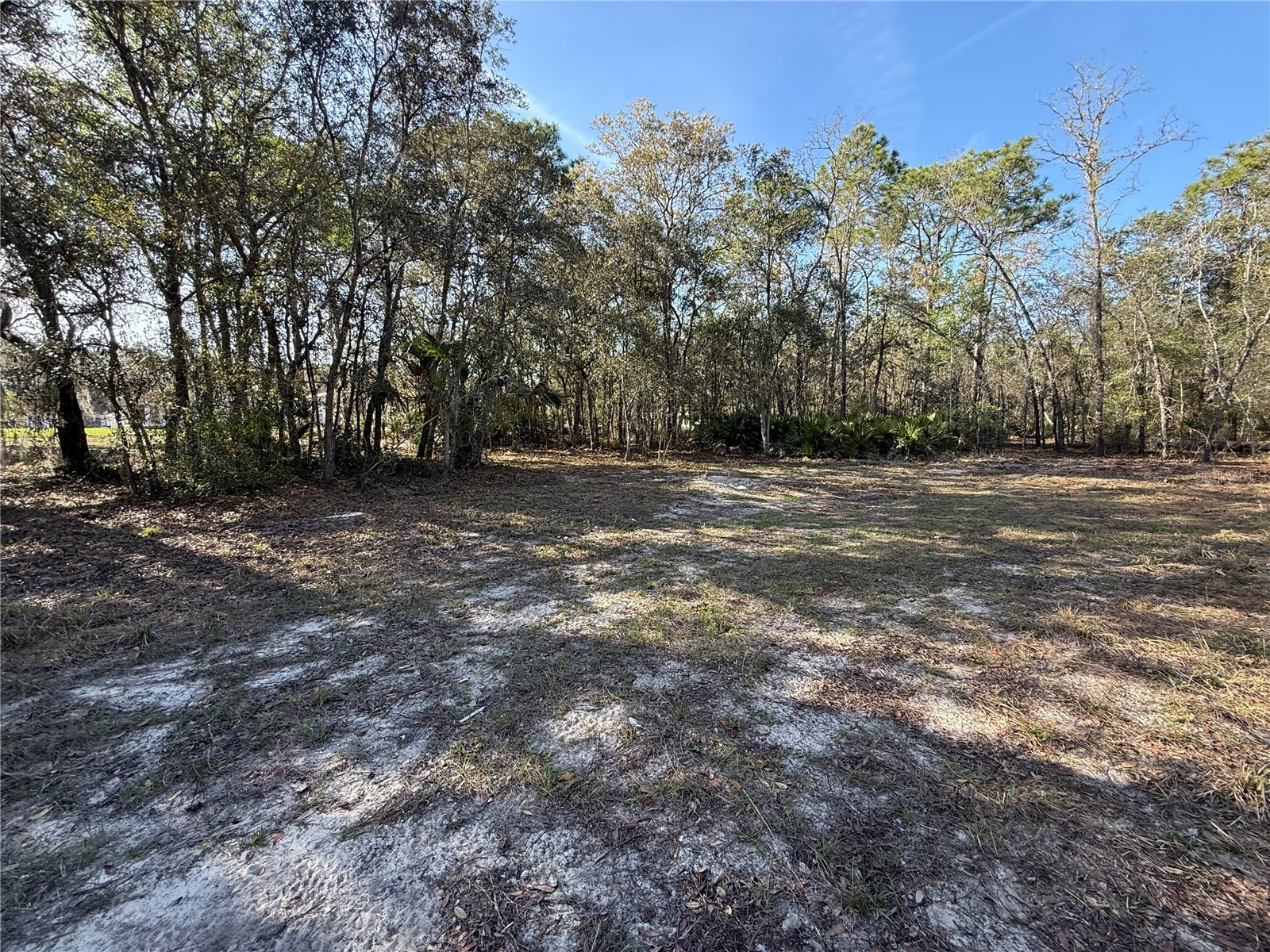 6479 W Holiday Street Homosassa FL 34446 TB8500021 image5