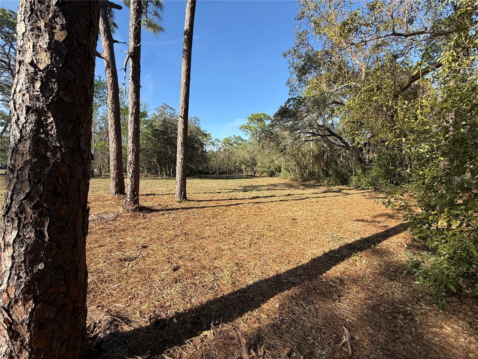 6479 W Holiday Street Homosassa FL 34446 TB8500021 image6