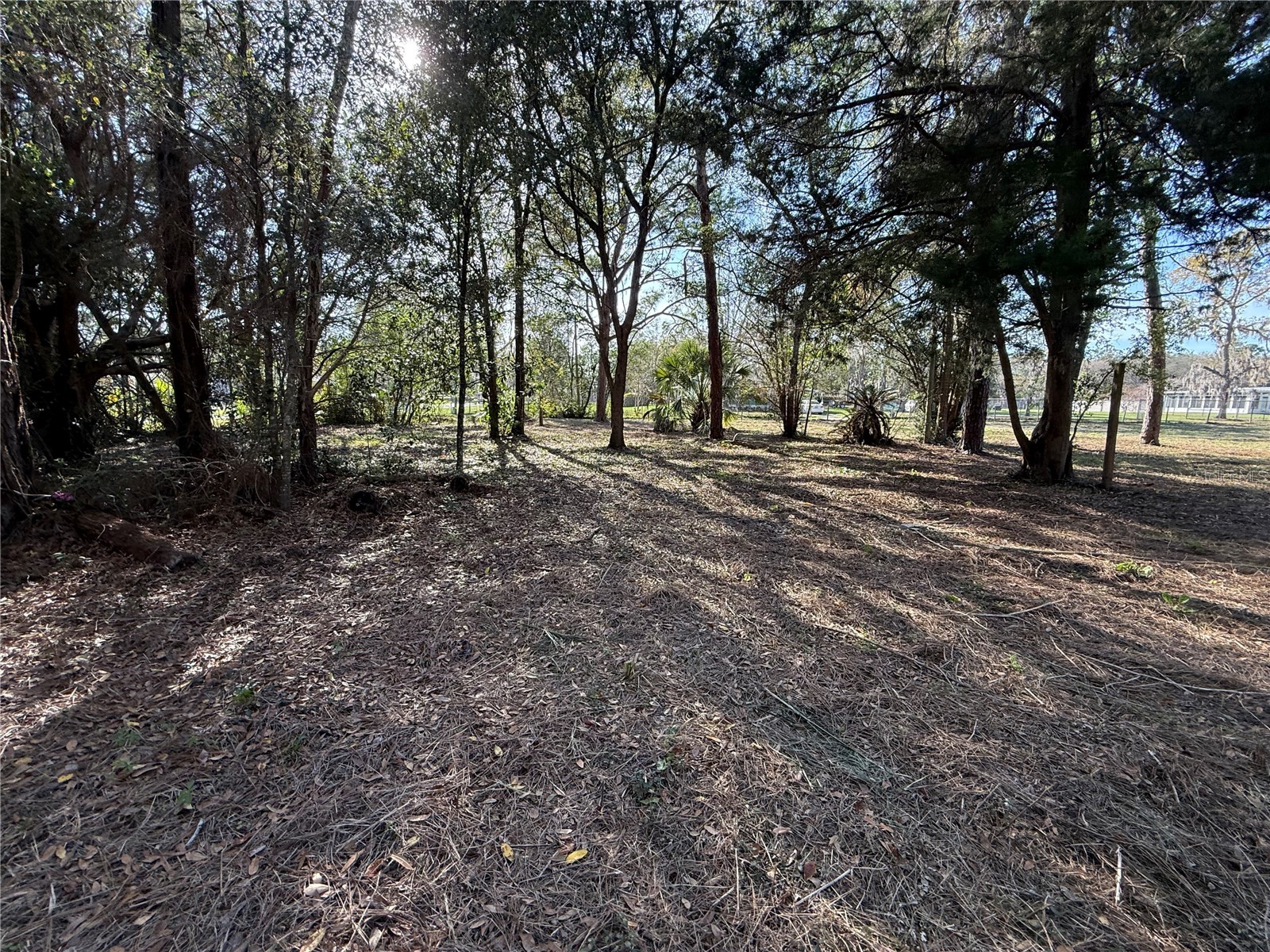 6479 W Holiday Street Homosassa FL 34446 TB8500021 image7