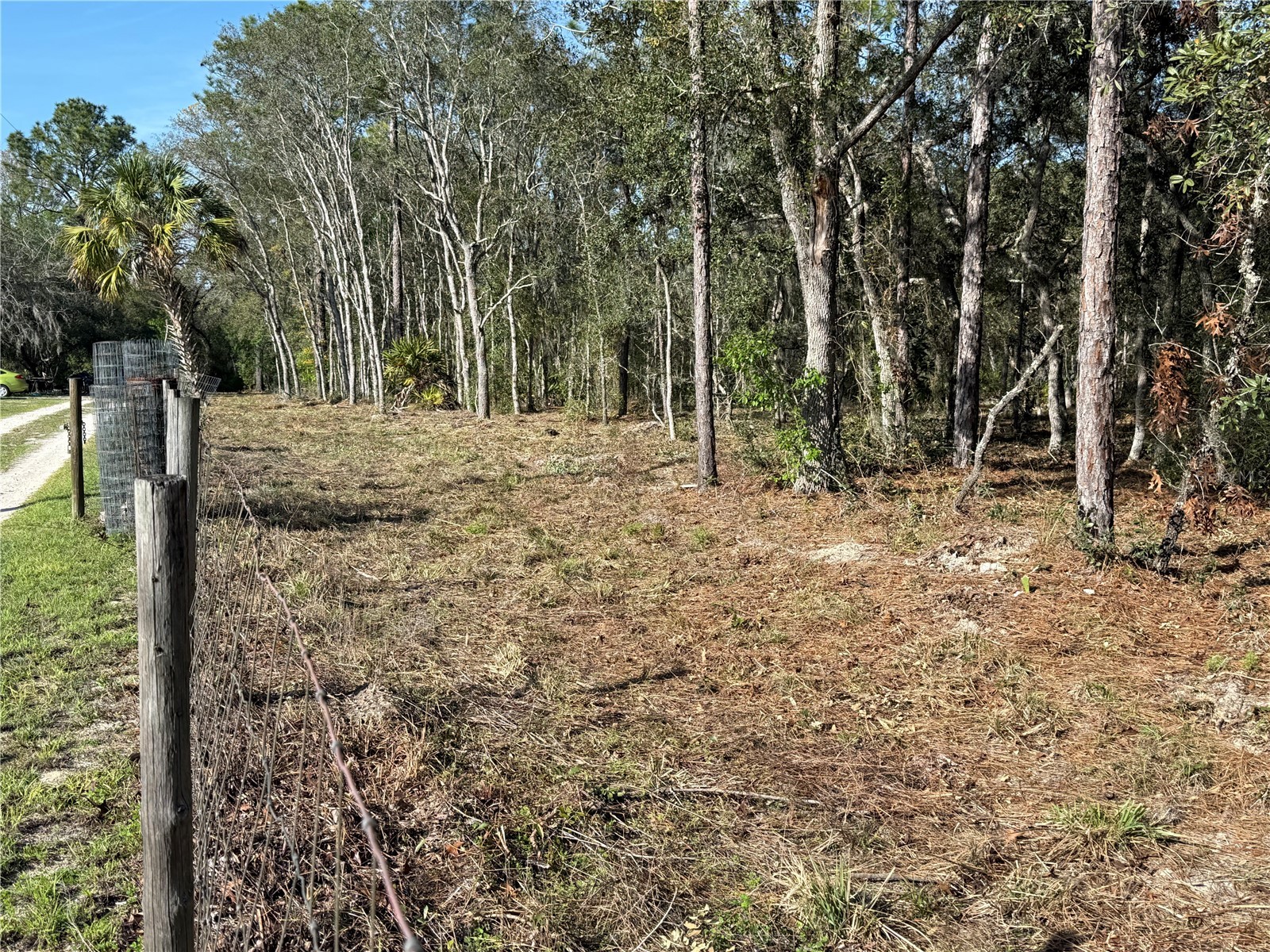 6479 W Holiday Street Homosassa FL 34446 TB8500021 image8