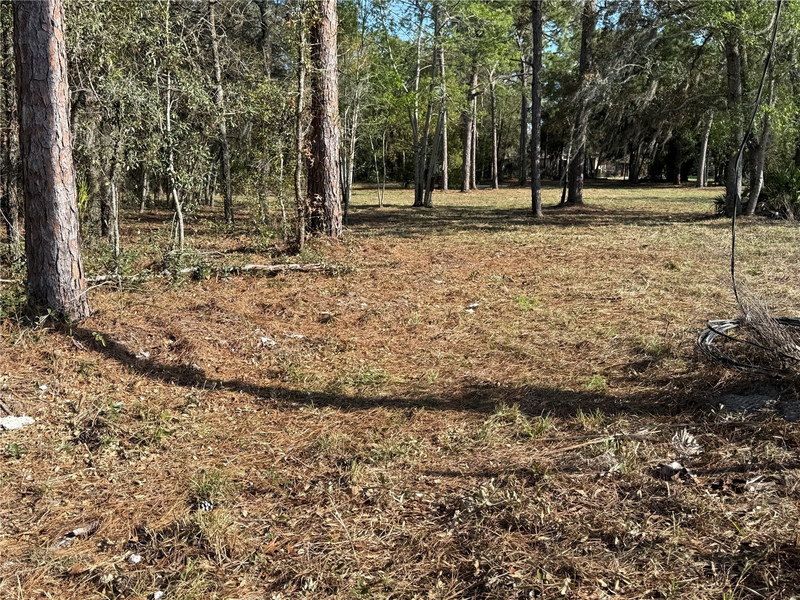 6479 W Holiday Street Homosassa FL 34446 TB8500021 image9