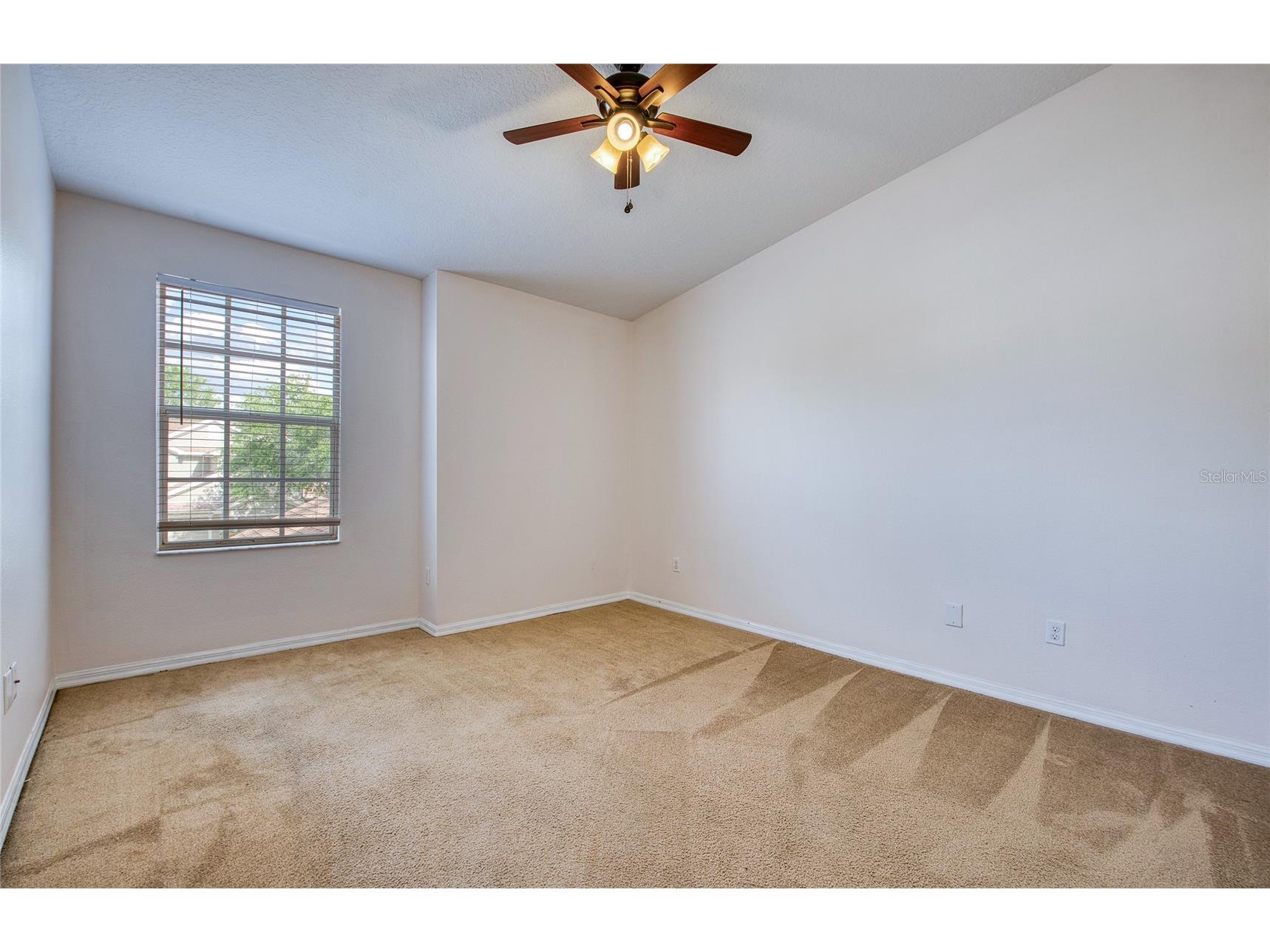 648 Spring Lake Circle Tarpon Springs FL 34688 TB8492714 image22