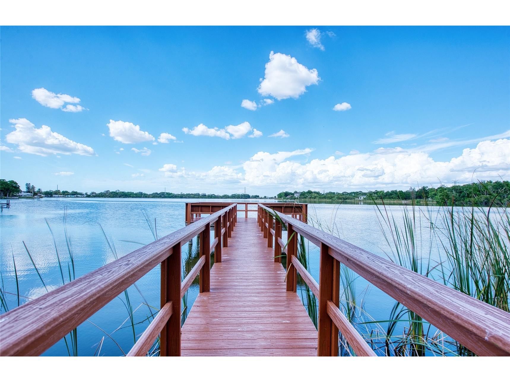 648 Spring Lake Circle Tarpon Springs FL 34688 TB8492714 image27