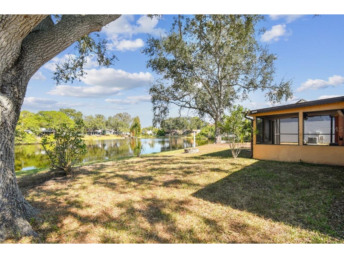 648 Timber Bay Circle E Oldsmar FL 34677 TB8453084 image44