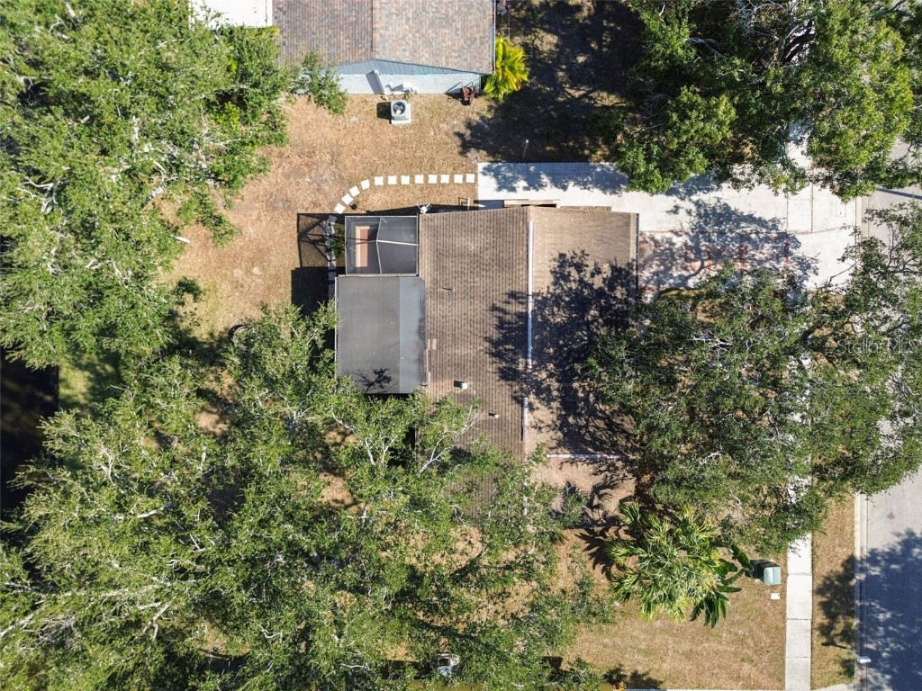 648 Timber Bay Circle E Oldsmar FL 34677 TB8453084 image65