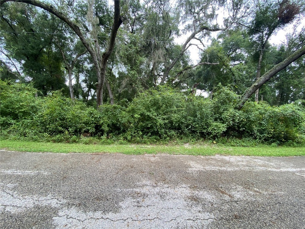 6480 Juniper Avenue Webster FL 33597 A4623143 image1