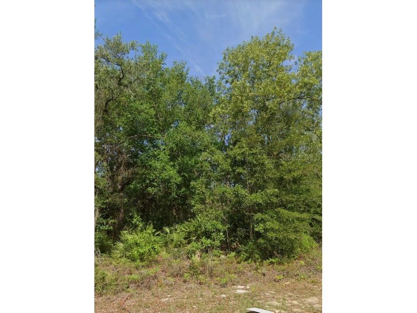 6480 N Matheson Drive Citrus Springs FL 34434 S5088797 image1