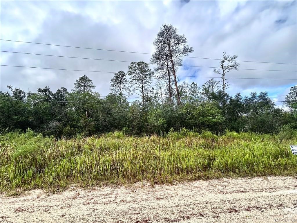 6480 N Pueblo Terrace Beverly Hills FL 34465 OM711178 image1