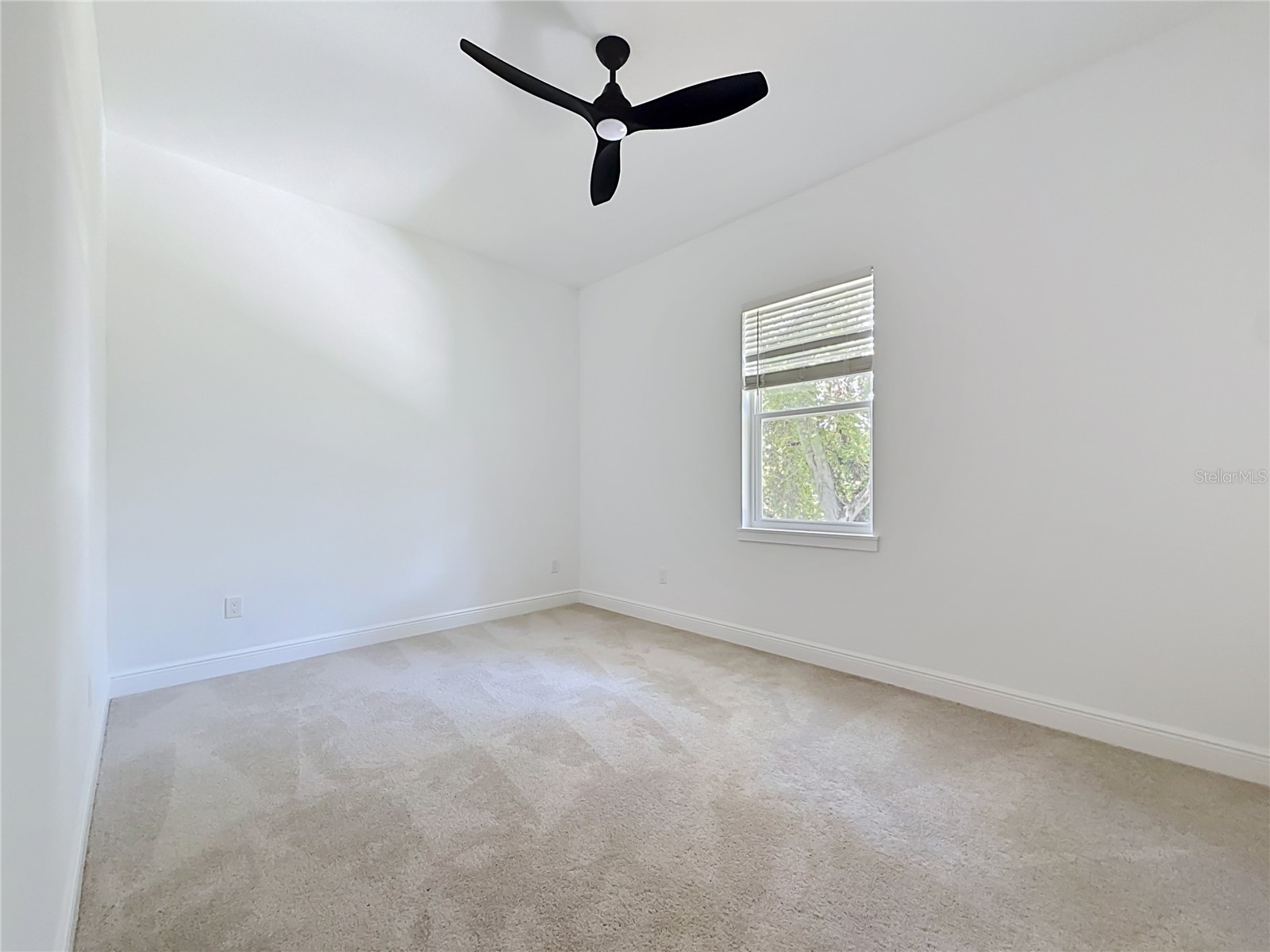6481 28th Street N Saint Petersburg FL 33702 TB8517319 image44