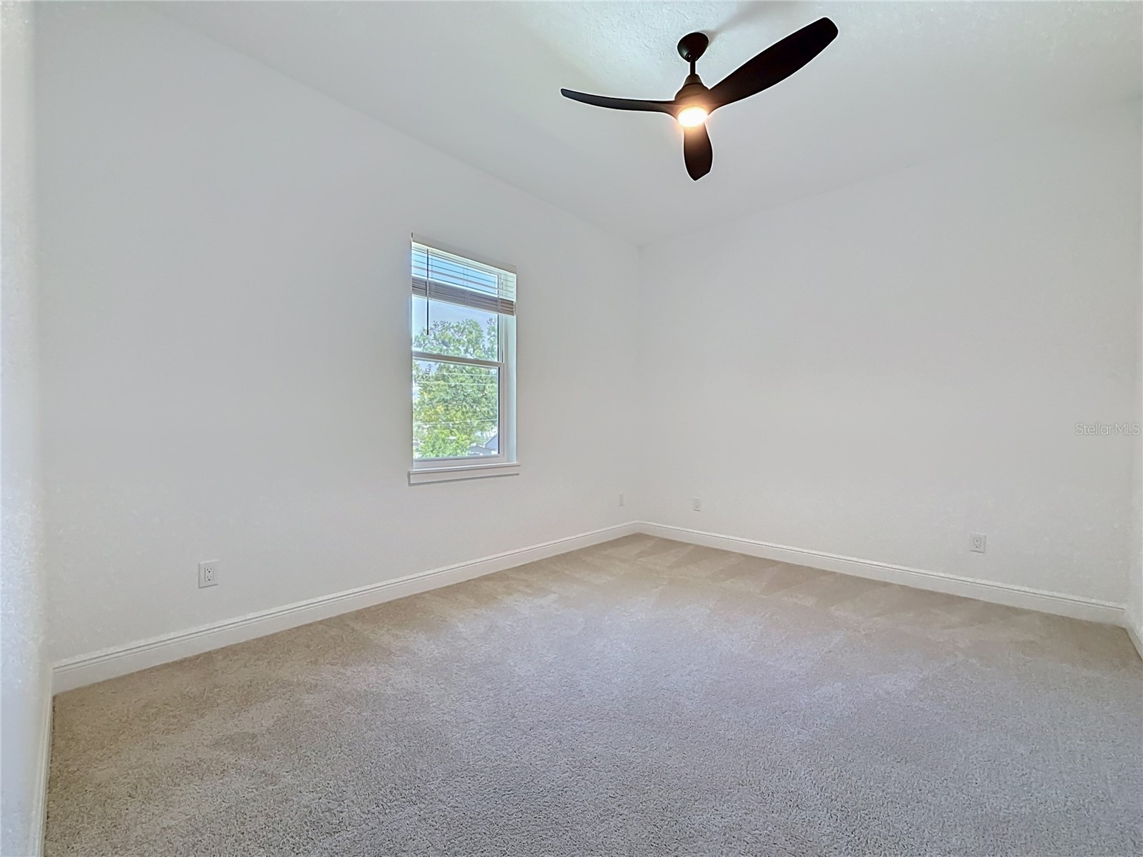 6481 28th Street N Saint Petersburg FL 33702 TB8517319 image47