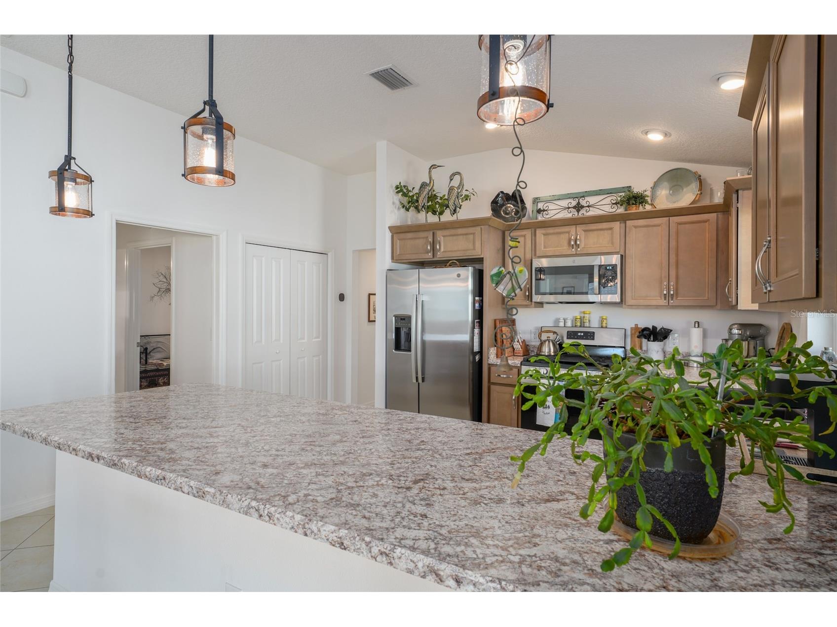 6481 Gavanni Street The Villages FL 34762 G5107234 image13