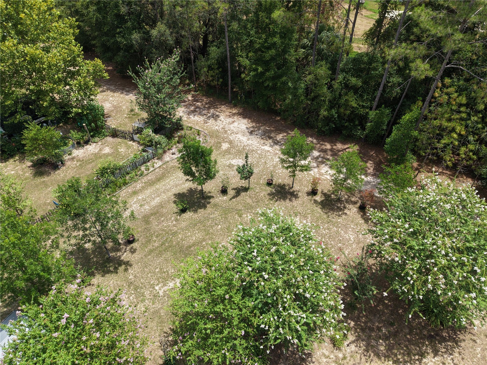 6482 SE 55th Street Trenton FL 32693 OM728469 image11