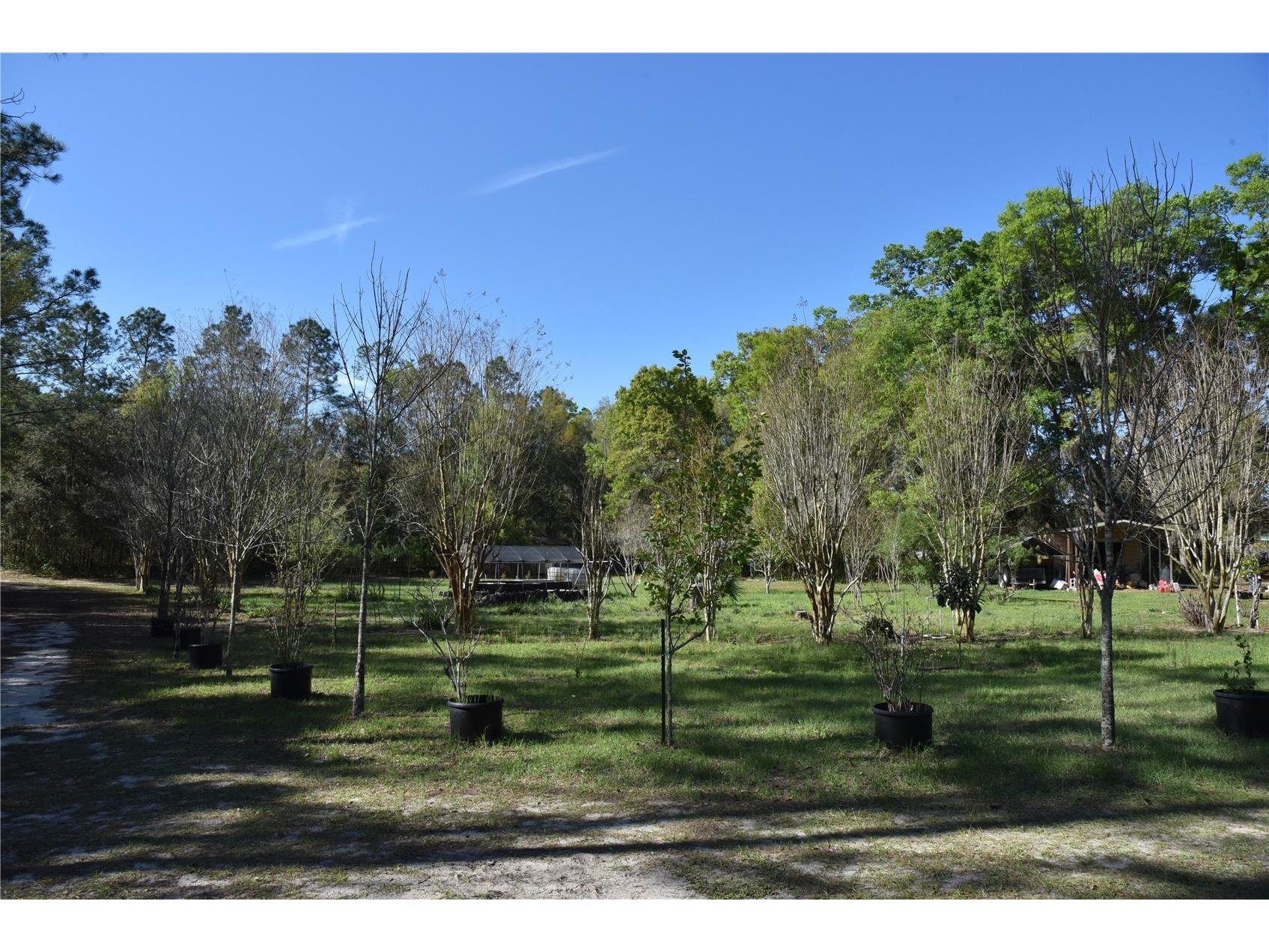 6482 SE 55th Street Trenton FL 32693 OM728469 image14