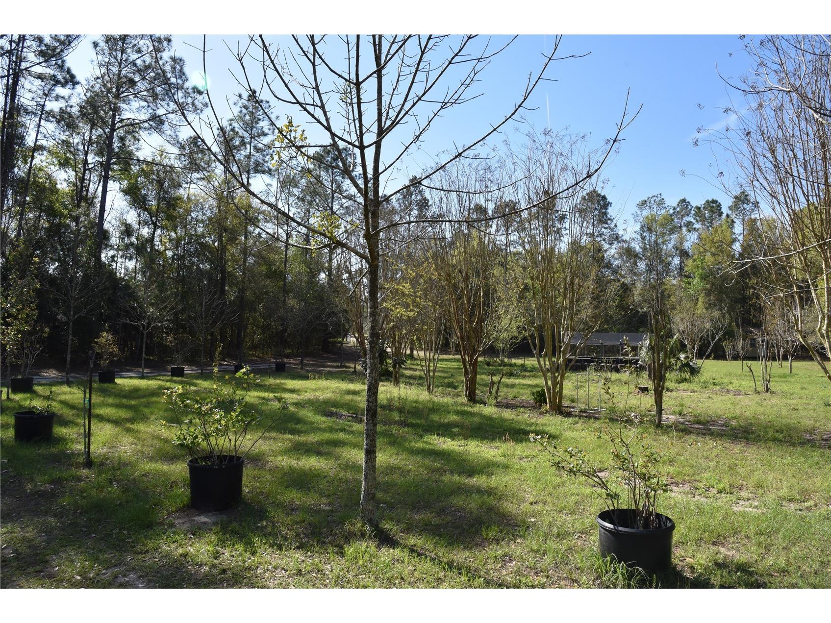 6482 SE 55th Street Trenton FL 32693 OM728469 image15