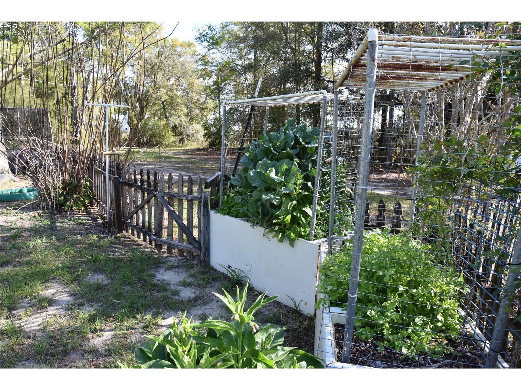 6482 SE 55th Street Trenton FL 32693 OM728469 image16