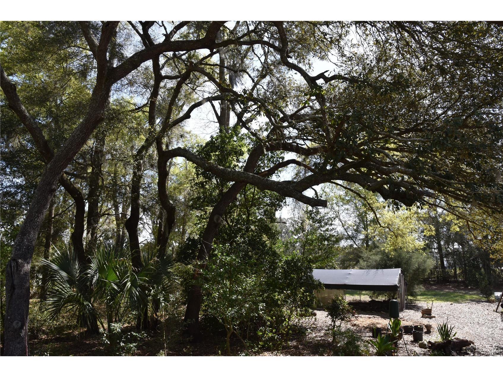 6482 SE 55th Street Trenton FL 32693 OM728469 image20