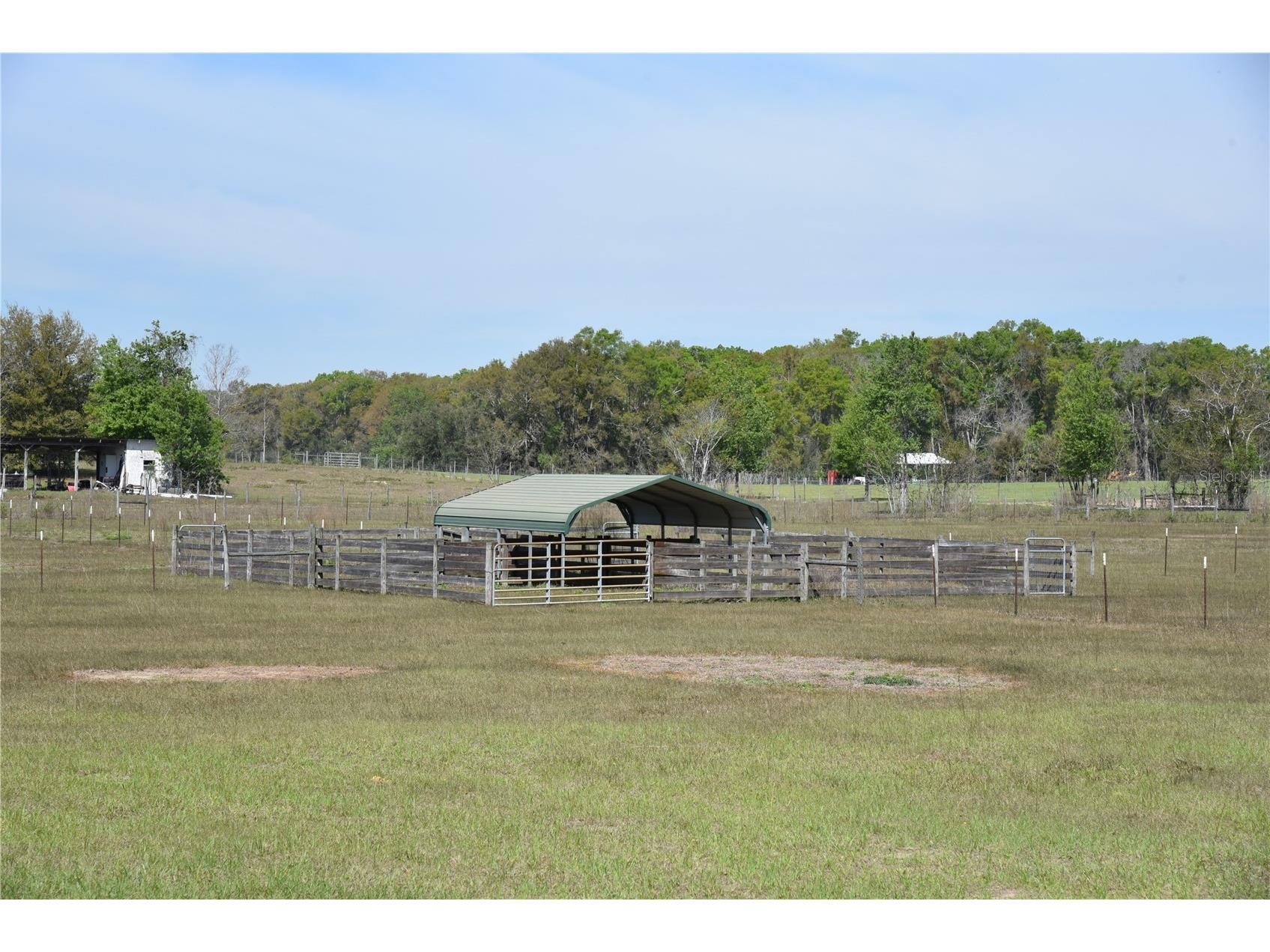 6482 SE 55th Street Trenton FL 32693 OM728469 image57